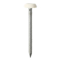 White Fascia Pins & Nails