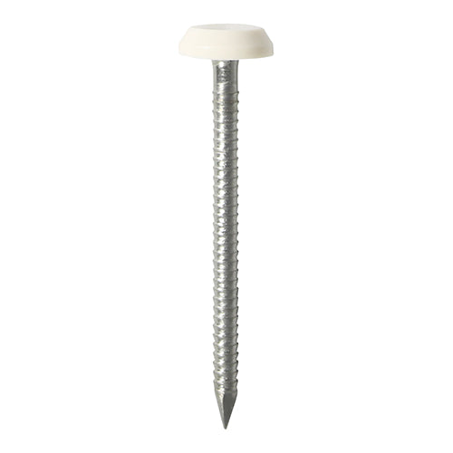 White Fascia Pins & Nails