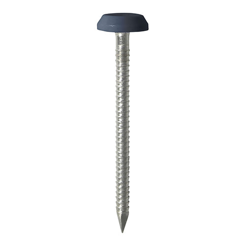 Anthracite Fascia Pins & Nails