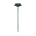 Black Fascia Pins & Nails