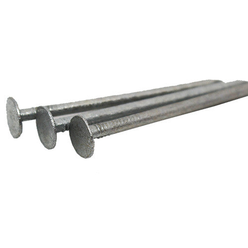 Galvanised Clout Nails