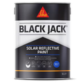 Solar Reflective Paint